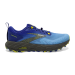 Men's Cascadia 17