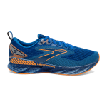 Men's Levitate GTS 6